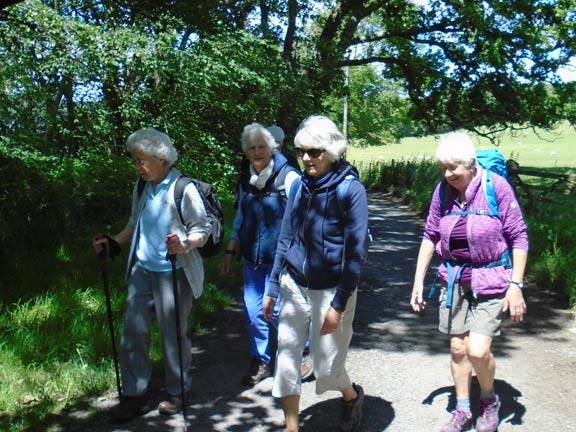 4.Treborth & Faenol linear
23/05/19. Photo: Dafydd Williams.
Keywords: Jun19 Sunday Meri Evans