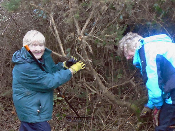 2. Footpath Clearing
21/1/2020. The gorse doesn't stand a chance with these two volunteers. Photo: Dafydd Williams
Keywords: Jan20 Noel Davey