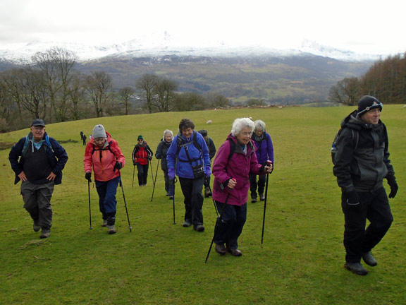 2.Llanelltyd
27/2/20. Struggling up the hill with a snowy Cadair Idris in the background. Photo: Dafydd Williams.
Keywords: Feb20 Thursday Nick White