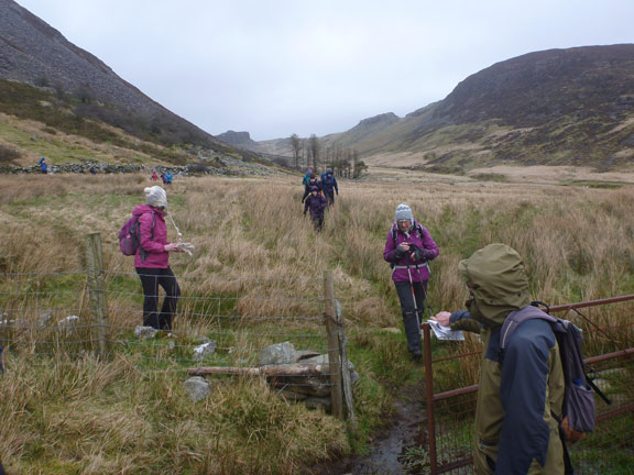 9.Manod-Cwm Penmachno
8/3/20. A good way down Cwm Teigl from the head of the valley, close to Caecano Mawr. Just over a mile to go.
Keywords: Mar20 Sunday Noel Davey