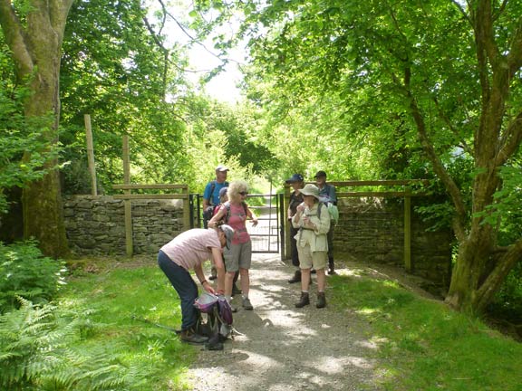 4.Porthmadog-Penmorfa-Black Rock circular
6/6/21. On the track between Alltwen to Penmorfa.
Keywords: Jun21 Sunday Hugh Evans