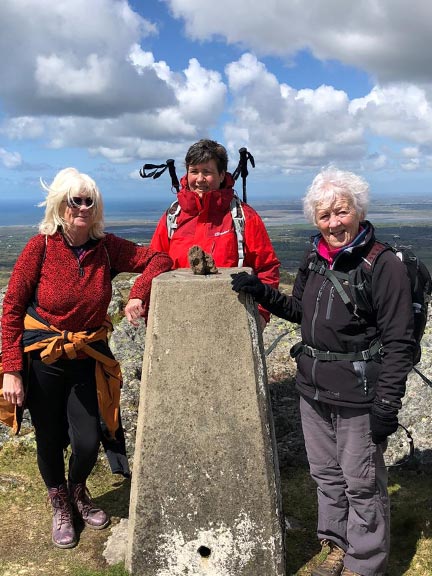 4.Rhostryfan-Moel Tryfan-Moel Smytho
6/5/21. Really at the top of Moel Tryfan. Photo: Nia Parry.
Keywords: May21 Thursday Meri Evans