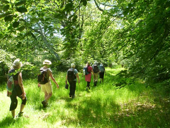 6.Mynydd Cennin
13/6/21. Just south of Hendre Cennin on Lon Goed.
Keywords: Jun21 Sunday Kath Mair
