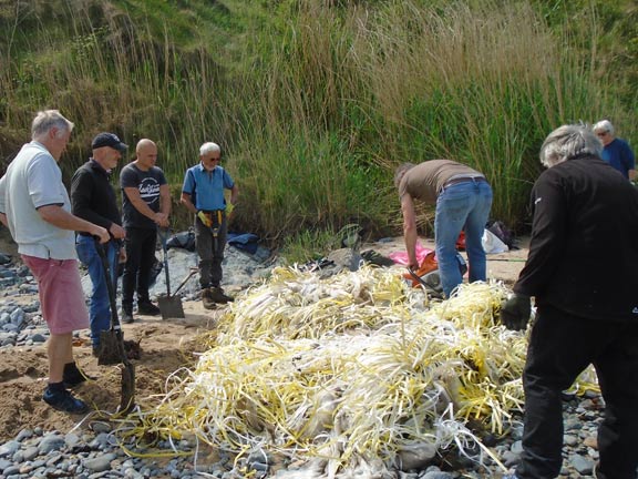 1. Beach clearing AONB - Nefyn Golf Club. 
18/05/22. Beach clearing organised by Morus (Area of Outstanding Beauty organiser.  The group includes four members of our club. Photo: Dafydd Williams.
Keywords: May22 AONB