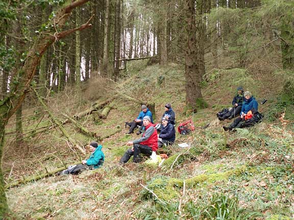 5.Around Gyrn Ddu & Gyrn Goch
20/2/22. Lunch in the shelter of the trees in the Cwm-gwared Plantation.
Keywords: Feb22 Sunday Gareth Hughes