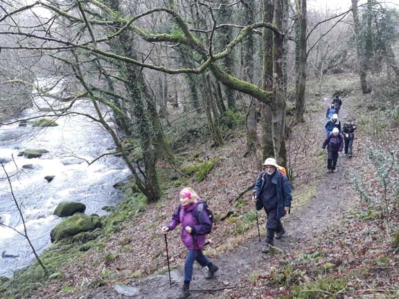 2.Criccieth Circuit
2/1/22. Walking along the banks of Afon Dwyfor after the morning break. Photo: Eryl Thomas.
Keywords: Jan22 Sunday Eryl Thomas