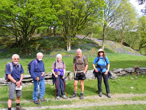 2.Dolwyddelan - Ty Mawr Wybrnant
15/05/22. About a mile from our starting point the path and close to the Afon Ledr we happen upon a Bluebell Glade.
Keywords: May22 Sunday Eryl Thomas