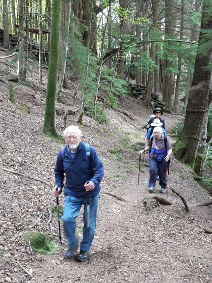 4.Dolwyddelan - Ty Mawr Wybrnant
15/05/22.   The path takes us through woodland near Tan-aeldroch. Photo: Eryl Thomas.
Keywords: May22 Sunday Eryl Thomas