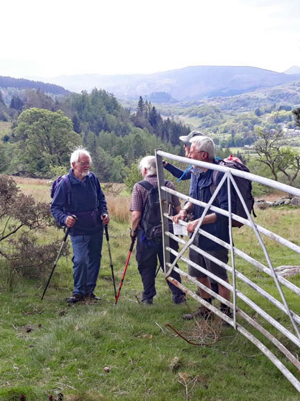 7.Dolwyddelan - Ty Mawr Wybrnant
15/05/22.  Just one mile to go. and 200ft of descent. Photo: Eryl Thomas.
Keywords: May22 Sunday Eryl Thomas