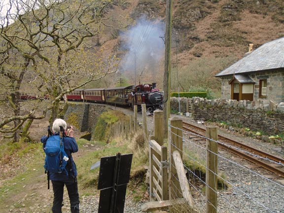 3.Duallt
14/04/22. Up from the stream just in time to get a photograph of Merddin Emrys at full steam. Photo: Dafydd Williams.
Keywords: Apr22 Thursday Tecwyn Williams