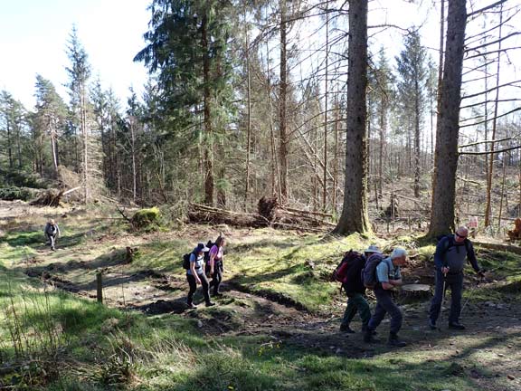 2.Gwydir Forest
27/03/22. Passing Llyn y Sarnau out of sight to the right. 
Keywords: Mar22 Sunday Annie Andrew Jean Norton