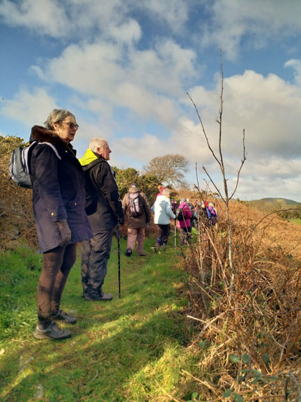 3.Llanbedrog - Wern Circuit
10/2/22.  nearly finished with the ascent. Photo: Louise Baldwin.
Keywords: Feb22 Thursday Judith Thomas