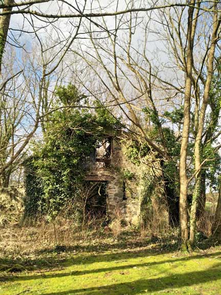 4.Llanbedrog - Wern Circuit
10/2/22.  En route. Photo: Louise Baldwin.
Keywords: Feb22 Thursday Judith Thomas