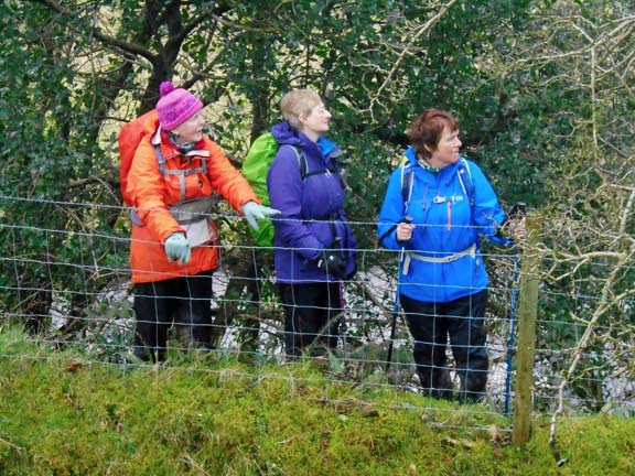 5.Llanystumdwy Circuit
3/3/22. How do we get out of this one? Photo: Dafydd Williams.
Keywords: Mar22 Thursday Kath Spencer