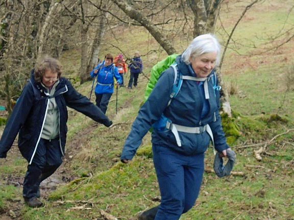 6.Llanystumdwy Circuit
3/3/22. Now on the east side of Afon Dwyfach on Tyddyn-du land. Photo: Dafydd Williams.
Keywords: Mar22 Thursday Kath Spencer