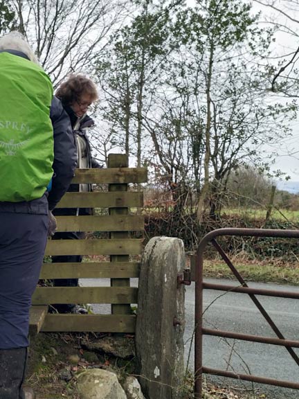 7.Llanystumdwy Circuit
3/3/22.  Finally off Gwynfryn Farm land. Now it's firm tarmac for the last 0.5 miles to our cars.  Photo: Louise Baldwin.
Keywords: Mar22 Thursday Kath Spencer