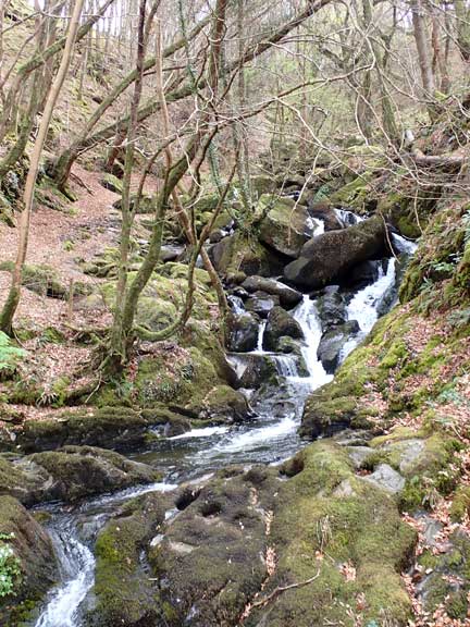 6.Morfa Mawddach - Ffordd Ddu
10/4/22. The Arthog Waterfalls. showing the results of low rainfall.
Keywords: Apr22 Sunday Hugh Evans
