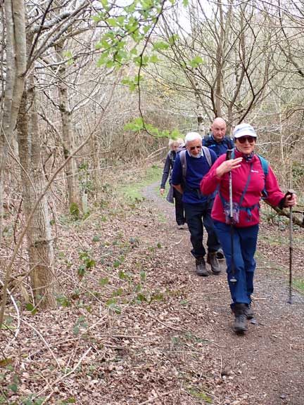 7.Morfa Mawddach - Ffordd Ddu
10/4/22. Now off the mountain, across the Mawddach Trail and close to the banks of the Mawddach Estuary.
Keywords: Apr22 Sunday Hugh Evans
