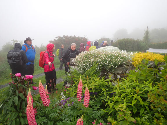 7.Mynydd Rhiw
9/6/22. A beautiful garden with bungalow in the midst of the heather on the side of Mynydd Rhiw close to Bryn-y-ffynnon.
Keywords: Jun22 Sunday Judith Thomas