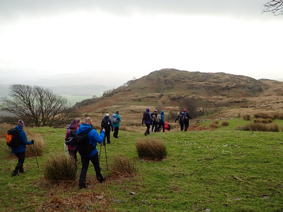 5.Uplands above Tremadog/Mynydd Gorllwyn/Aberdunant
30/01/22. Leaving the old building at Tai Cochion where we had a rather chilly lunch. making towards Factory-Glaslyn.
Keywords: Jan22 Sunday Noel Davey