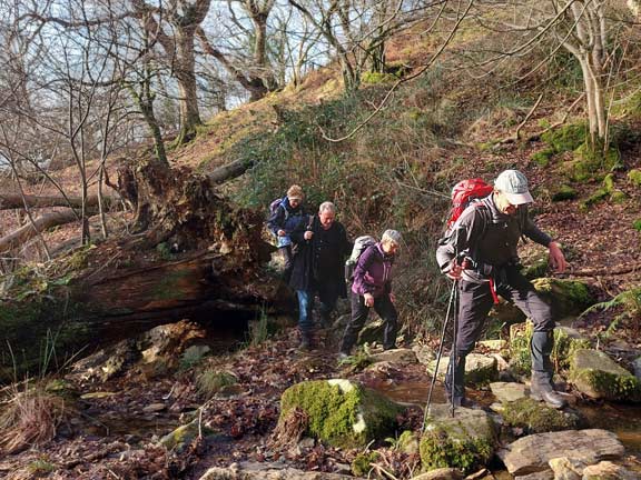 2.Uplands above Tremadog/Mynydd Gorllwyn/Aberdunant
30/01/22. On our way up from Tremadog, near the NW point of Coed Tan-yr-allt. Photo: Julia Miflin.
Keywords: Jan22 Sunday Noel Davey