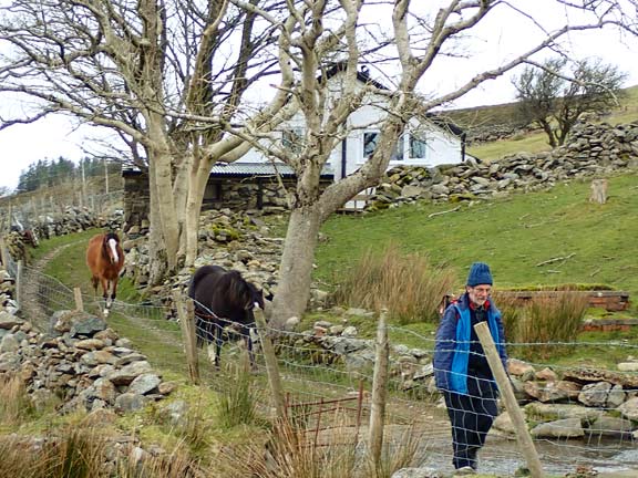 6..Waunfawr Circular.
23/1/22. A couple of horses have smelt the apples in the backmarker's pack.
Keywords: Jan22 Sunday Kath Spencer