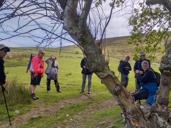 4.Waunfawr - Cefn Ddu
12/05/22. Taking a breather on the way up. Photo: Louise Baldwin.
Keywords: May22 Thursday Kath Spencer