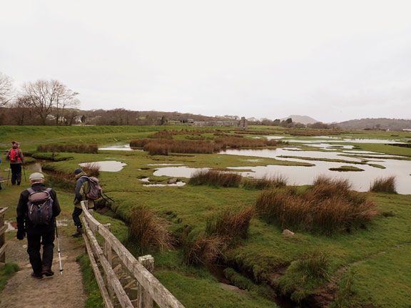 1.Cylchdaith Ynys Circular
17/2/22. At the start of the walk. Crossing a footbridge across Afon y Glyn which runs into Afon Dwyryd. Canada Geese can be seen in the the far right pool. They flew off as we approached.
Keywords: Feb22 Thursday Tecwyn Williams