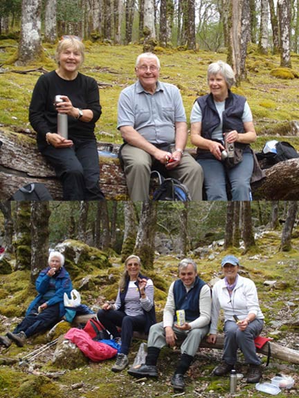 1.Coed y Brenin
16/05/13. Lunchtime. Photo: Nick & Ann White.
Keywords: May13 Thursday Nick Ann White