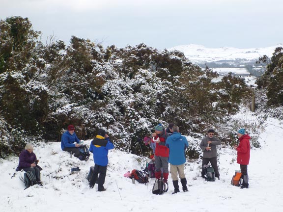 2.Llanbedrog to Nefyn
Lunch in a disused quarry near Mathan Isaf.
Keywords: Jan13 Sunday Judith Thomas