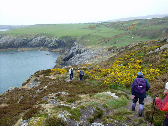 6.Anglesey Coastal Path Cemaes to Bull Bay & Llugwy
12/05/13. The A walkers carry on to Llaneilian.
Keywords: May13 Sunday Noel Davey Paul Jenkins