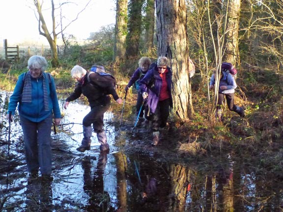 6.Newborough Warren
17/2/12. We were warned that it was going to be wet but WE weren't going to take the easy route. Back in the forest at Pandy having just left the village of Newborough.
Keywords: Feb13 Sunday Kath Mair