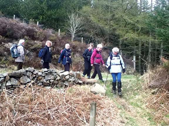 4.Penrhyndeudraeth
18/04/13. Emerging from the forest approaching Rhyd. Photo: R.L.Taylor.
Keywords: Apr13 Thursday Kath Mair