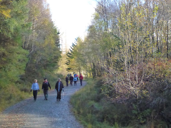 4.Coed-y-Brenin waterfalls
10/11/13. A part of the path near Pont Gwyn-fynydd.
Keywords: Nov13 Sunday Nick White