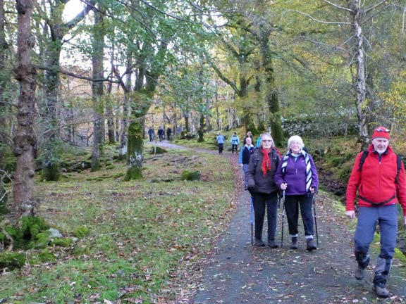 6.Coed-y-Brenin waterfalls
10/11/13. The last part of the walk as we make the final descent into Ganllwyd.
Keywords: Nov13 Sunday Nick White