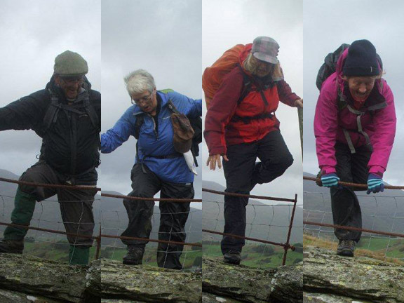 4.Garndolbenmaen Circular
27/10/13. Badger cam catches four clambering over a fence. Photo: Dafydd Williams.
Keywords: Oct13 Sunday Tecwyn Williams