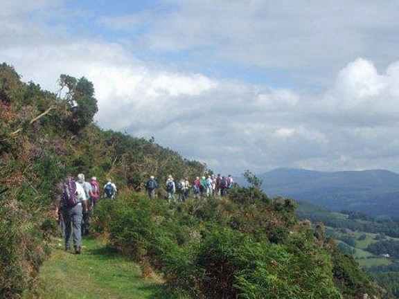 4.Llanelltyd/New Precipice
5/9/13. Contouring the precipice. Photo: Dafydd Williams.
Keywords: Sept13 Thursday Alan Edwards Beryl Davies