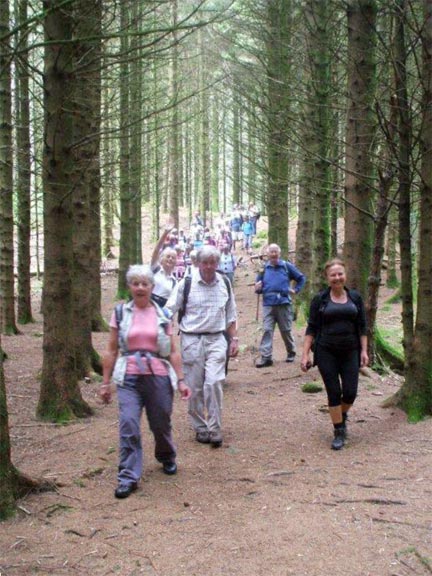 6.Llanelltyd/New Precipice
5/9/13.Descending to Llanelltyd through an avenue of trees. Photo: Dafydd Williams.
Keywords: Sept13 Thursday Alan Edwards Beryl Davies