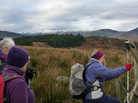 5.Foothills of Moel Siabod
24/11/13. 0.75 miles to go. Snow on Carnedd Llewelyn and Carnedd Dafydd in the distance.
Keywords: Nov13 Sunday Judith Thomas