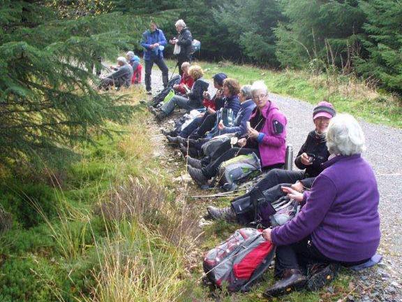 2.Foothills of Moel Siabod
24/11/13. A much needed tea break in the forest 0.4 miles from Colgwn Llwyd. Photo by Dafydd Williams.
Keywords: Nov13 Sunday Judith Thomas