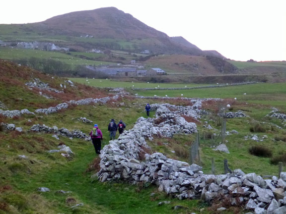 6.Pystyll & Moel Gwynus 
8/12/13. On the final part of the walk towards Pistyll Farm walking past some unusual dry stone walls.
Keywords: Dec13 Sunday Catrin Williams
