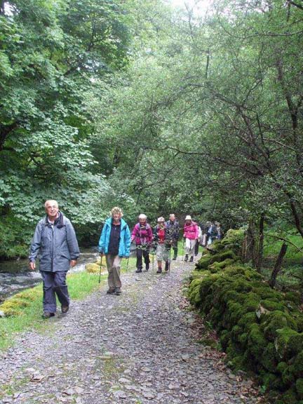 4.Craig y Llyn a Braich Ddu C walk.
18/08/13. A pleasant woodland walk. Photo: Dafydd Williams.
Keywords: Aug13 Sunday Nick White