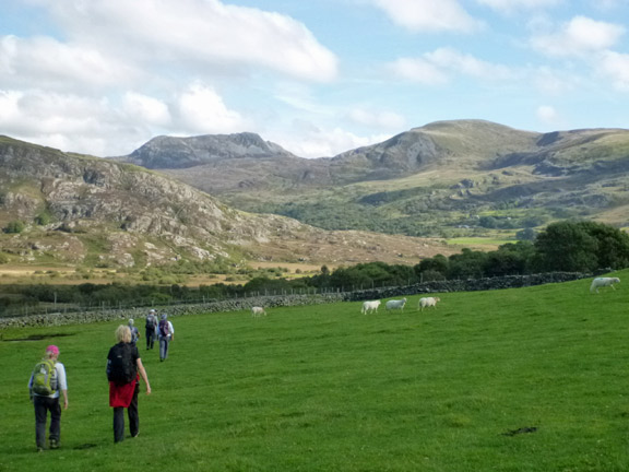 5.Tal y Bont to Harlech Taith Ardudwy Way
28/9/14. Soon after lunch. Cwm Nantcol with Rhinog Fawr and Y Llethr in the background.
Keywords: Sept14 Sunday Dafydd Williams