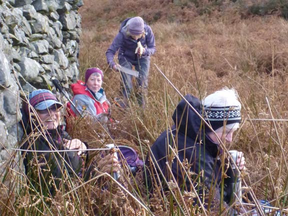 4.Carreg Fawr - Cwm Buchan
7/12/14. Lunch taken out of the wind but in the reeds near Hafotty.
Keywords: Dec14 Sunday Tecwyn Williams