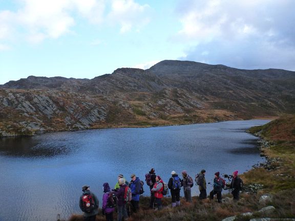 5.Carreg Fawr - Cwm Buchan
7/12/14. Gloyw Lyn, where we turn back. Rhinog Fawr is in the background. Llyn Cwm Buchan about 0.75mls to our left.
Keywords: Dec14 Sunday Tecwyn Williams