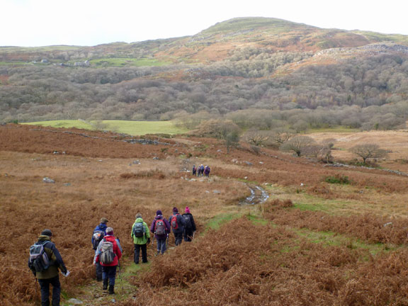 6.Carreg Fawr - Cwm Buchan
7/12/14. Closing on Afon Artro near Cwm-yr-Afon.
Keywords: Dec14 Sunday Tecwyn Williams