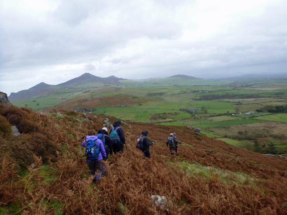 2.Mynydd Nefyn, Garn Boduan & Carn Fadryn
26/10/14. Down the other side of Carreglefain out of the wind. The Rivals and Mynydd Carnguwch in the background.
Keywords: Oct14 Sunday Roy Milnes