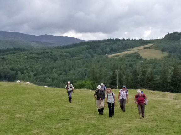 6.Mynydd Cribau
3/8/14. Coming up to our 5th peak of the walk. Pen-y-Dinas 863ft.
Keywords: Aug14 Sunday Hugh Evans