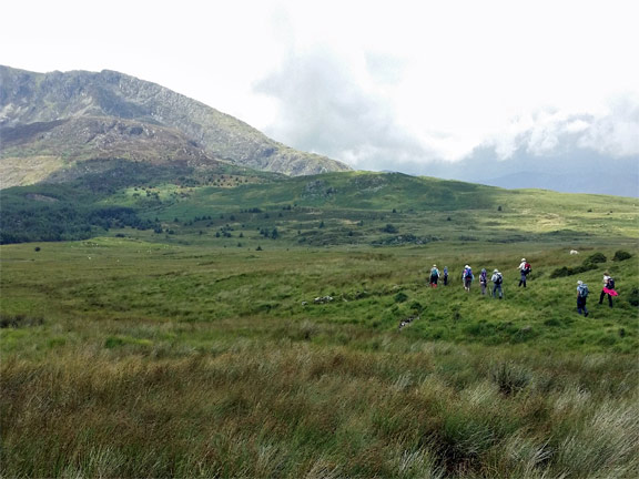 5.Mynydd Cribau
3/8/14. Into the marshland between Moel Siabod (in the background) and Mynydd Cribau. Photo: Roy Milner.
Keywords: Aug14 Sunday Hugh Evans