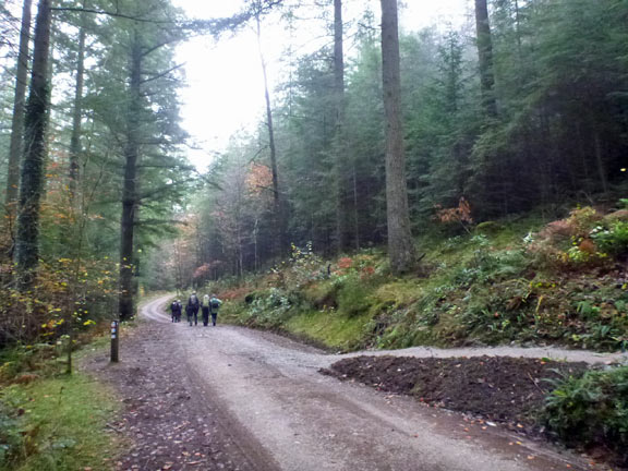 2.Volcano Trail - Coed-y-Brenin
23/11/14. Into the forest near Allt Friog
Keywords: Nov14 Sunday Noel Davey